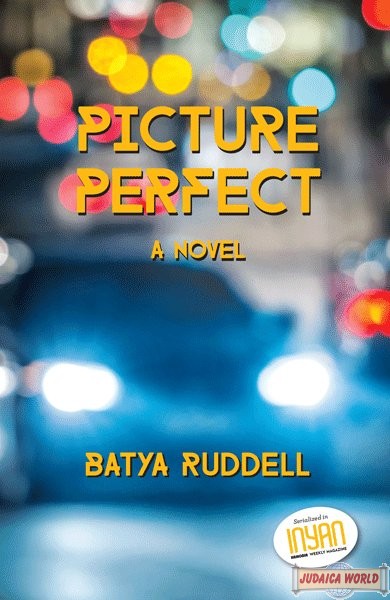 perfect on paper novel